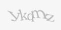 Защитный код